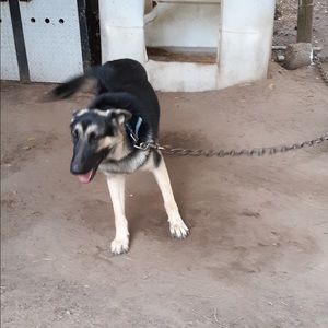 Meet your Posher, Eartha